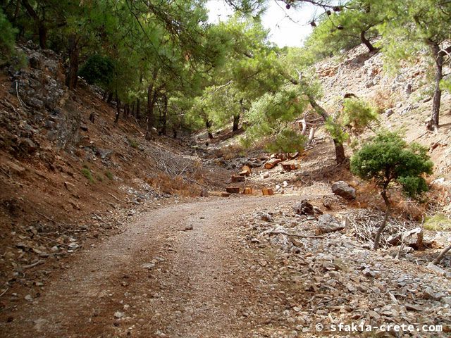 Photo report of a walk around Loutro, Sfakia, Crete, September 2008